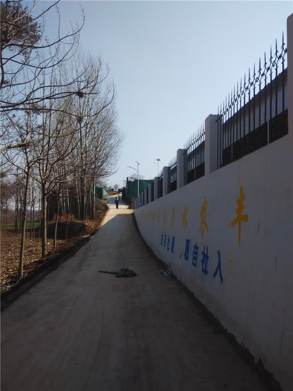 文章附图