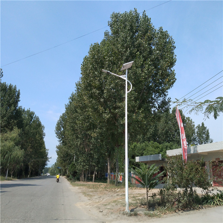 路燈01112.jpg
